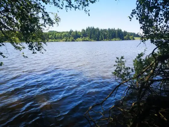 5_Lac de Devesset