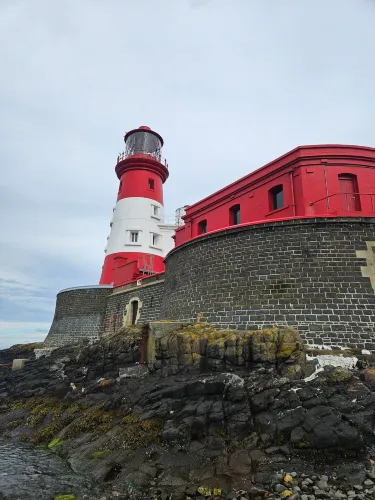 Golden Gate Farne Islands Boat Trips