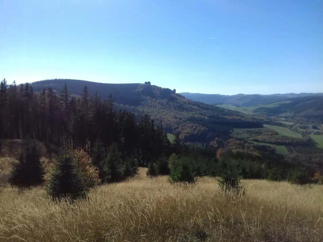 Hotels near Ginsterkopf