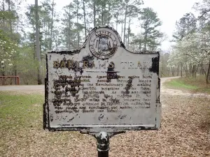 Tuskegee National Forest