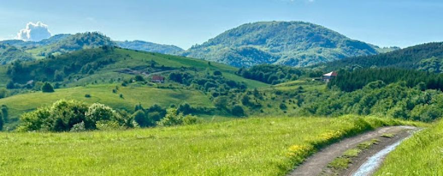 Horse Adventures Serbia