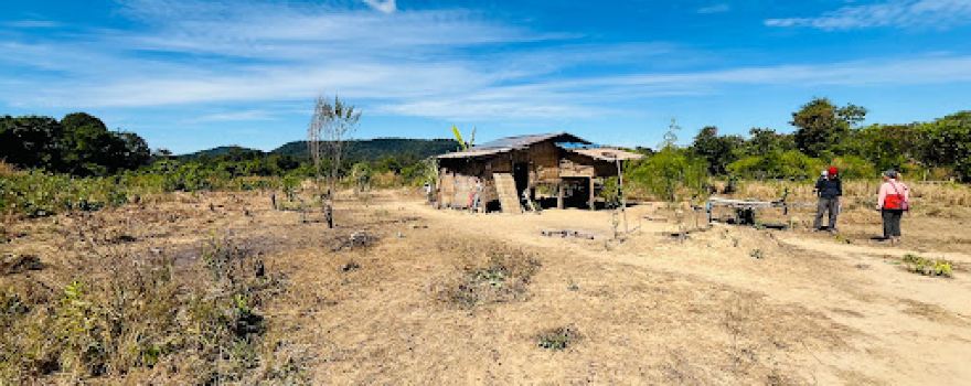 Green jungle trekking Tours-Cambodia