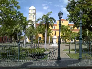 Orinoco Botanical Garden