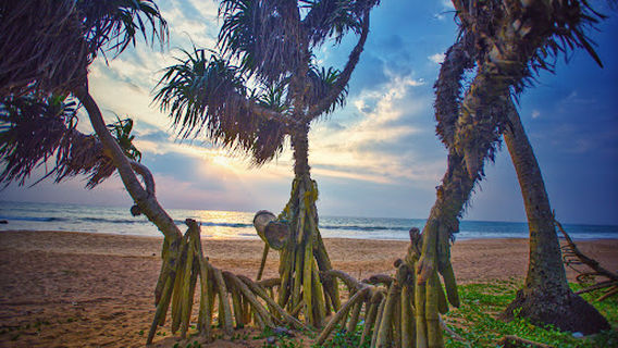 Kosgoda Beach