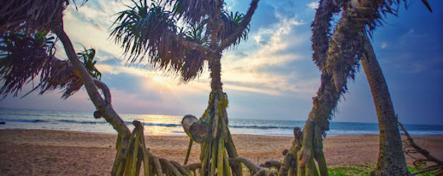 Kosgoda Beach