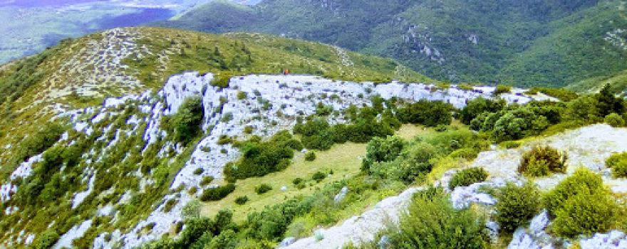 Mont Saint-Baudille