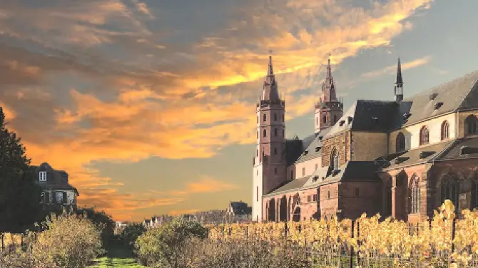 Weingut Am Dom