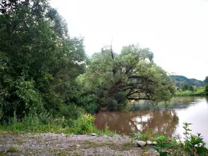 Centru Brâncovenești