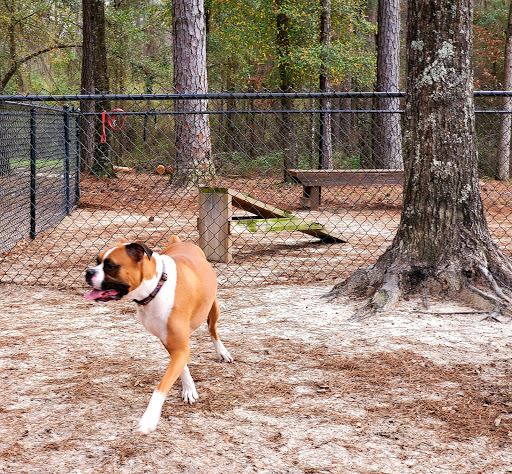 Harvest Bark Park