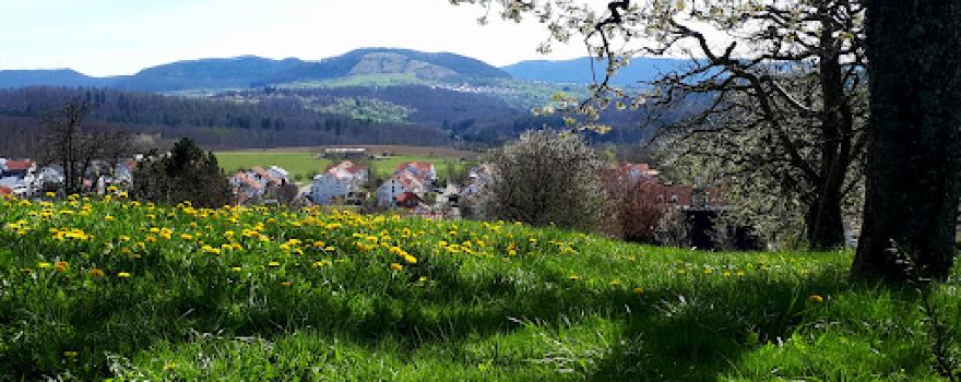 Geigersbühl 407 m ü. N. N.