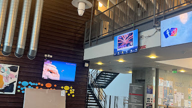 Brun og blid Sogndal