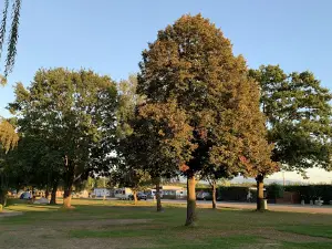 Camping Adam oHG