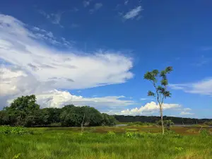 Balneário Do Levi