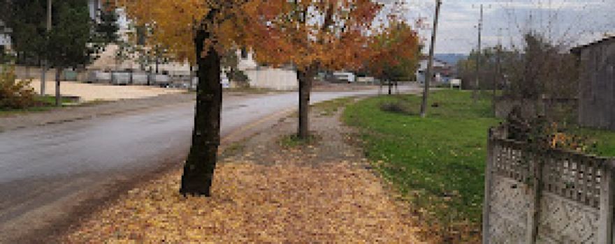 Korucu Süleyman Bulut Parkı