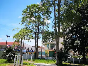 12 August Commemoration of Queen Sirikit Public Park