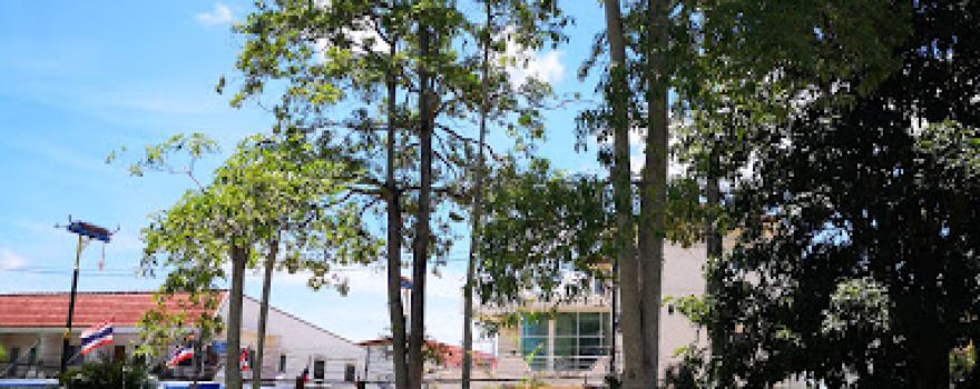 12 August Commemoration of Queen Sirikit Public Park