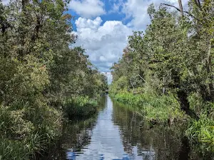Nationalpark Tanjung Puting