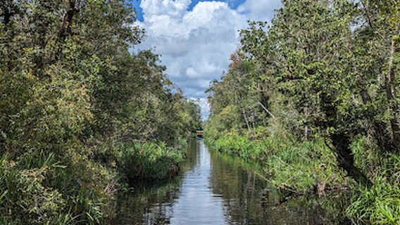 Taman Nasional Tanjung Puting