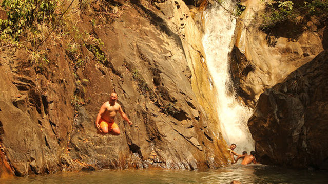 Department of National Park, Wildlife and Plant Conservation