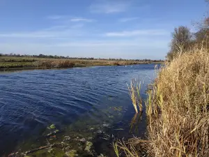 Omel'nyk River
