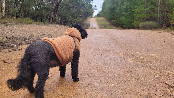 Hahndorf