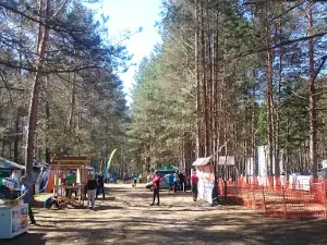 Druzhba, Detskiy Ozdorovitel'no-Obrazovatel'nyy Tsentr