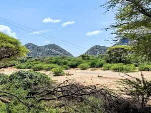 Lasamu Camp