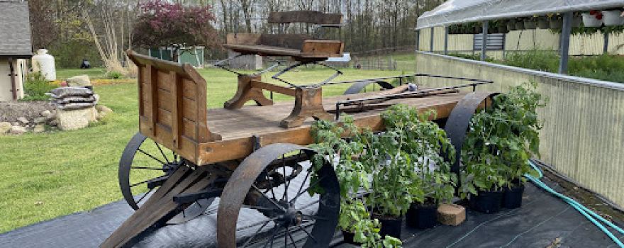 Pine Grove Greenhouse & Farm Market