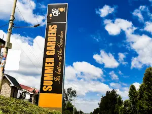 Summer Leisure Gardens