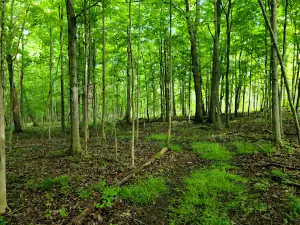 Keuka Lake State Park