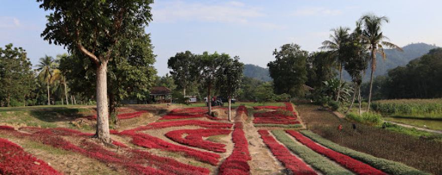 Danau Telogo Rejo Sendang Baru
