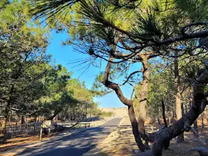 La Jenny Domaine Résidentiel Naturiste
