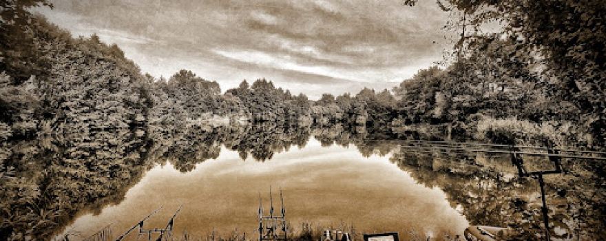 Łowisko "Sucha Carp Lake"