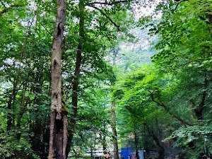 mamshlem waterfall