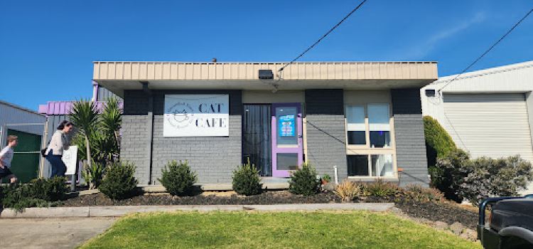 Grounded Paws Animal Rescue & Cat Cafe