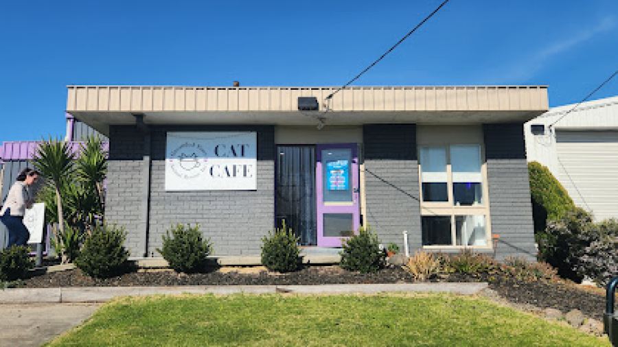 Grounded Paws Animal Rescue & Cat Cafe