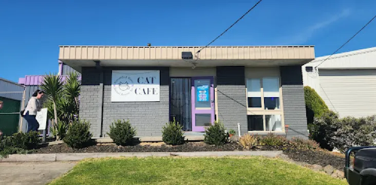 Grounded Paws Cat Café