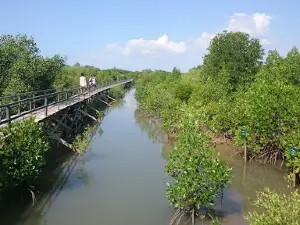 Labuhan Mangrove Education Park