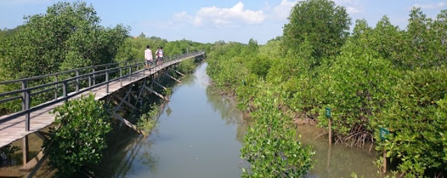 Labuhan Mangrove Education Park