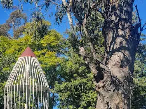 Jellicoe Park