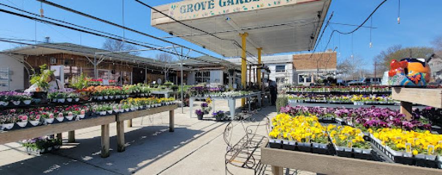 Grove Gardens
