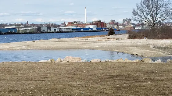 Palmer Island
