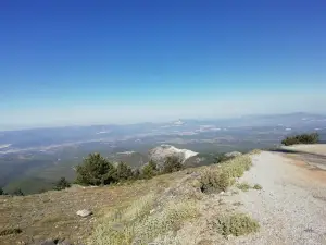 Gökçukur Piknik Alanı