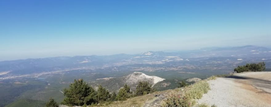 Gökçukur Piknik Alanı