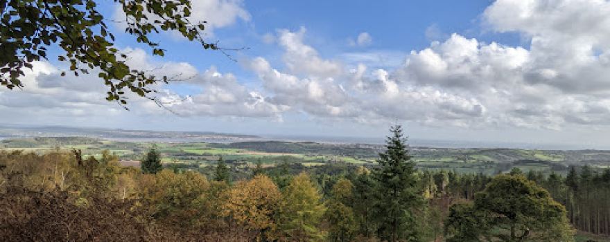 Mamhead Sensory Trail