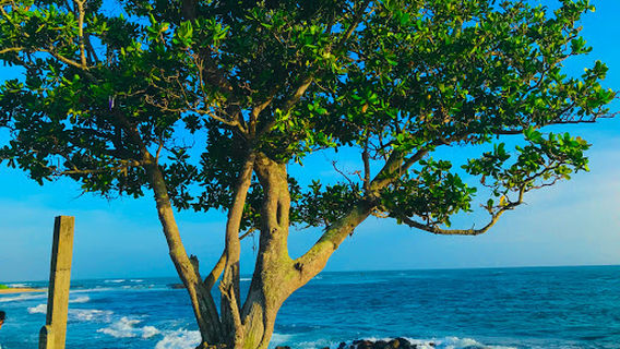 Thalaramba Beach