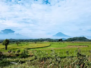 Pasar Papringan Ngadiprono