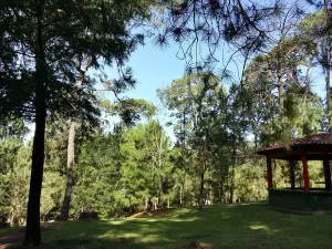 La Pinera Park