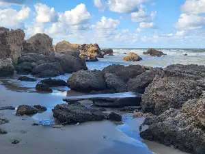 Olga Beach