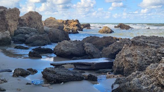 Olga Beach